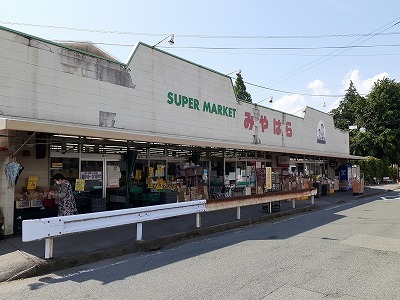 スーパー　みやはら一の宮店（スーパー）まで1800m