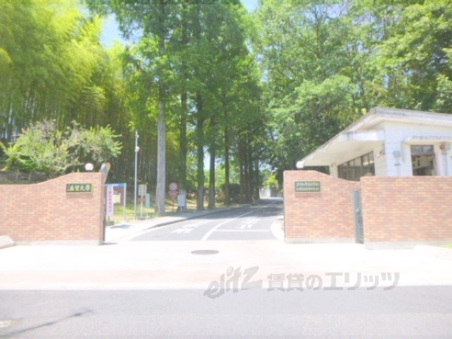 大学・短大　滋賀大学教育学部（大学・短大）まで3600m