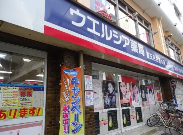 ドラックストア　ウエルシア薬局豊玉目白通り店（ドラッグストア）まで505m