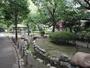公園　旧呑川緑地（公園）まで272m