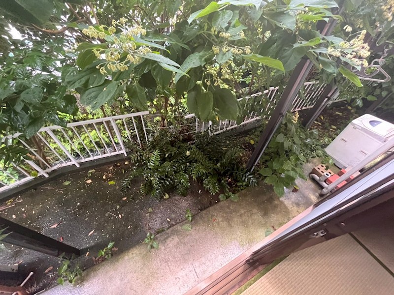 バルコニー　現況優先