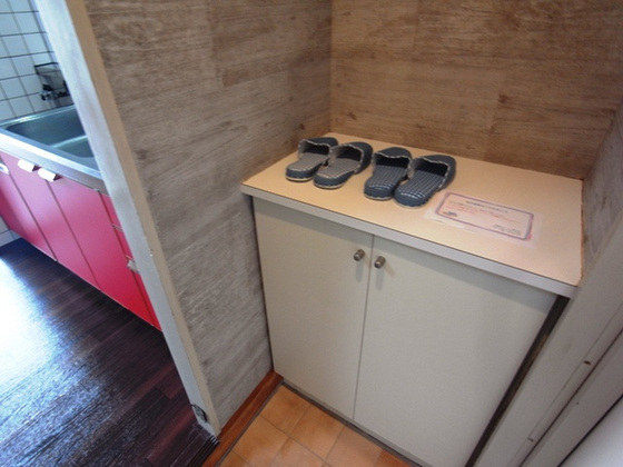 玄関　※別部屋の写真です