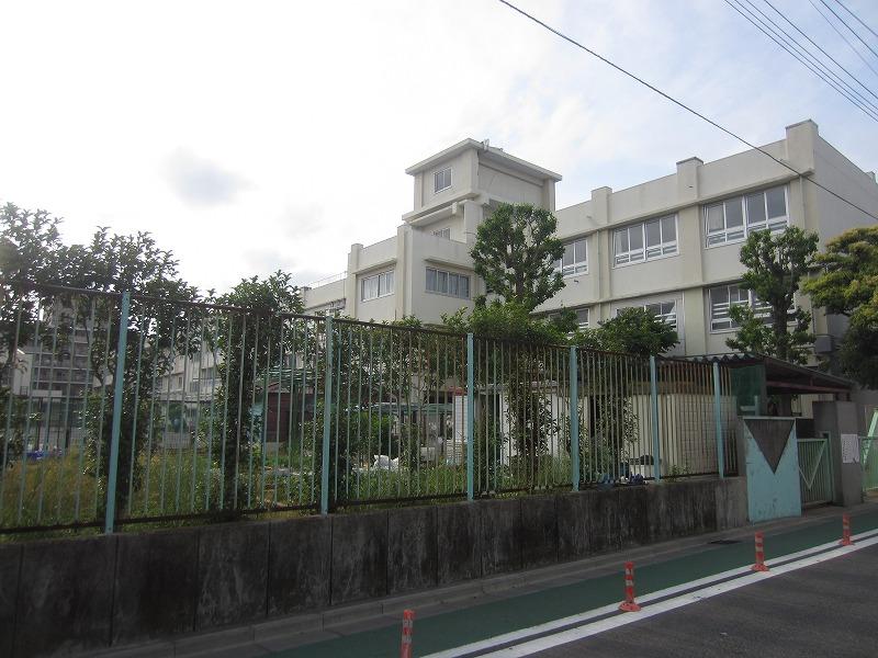 小学校　川崎市立向小学校（小学校）まで490m