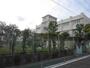 小学校　川崎市立向小学校（小学校）まで490m