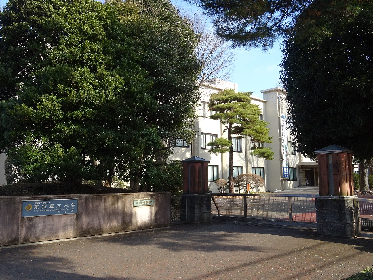 大学・短大　法政大学・東京農工大学（大学・短大）まで1600m