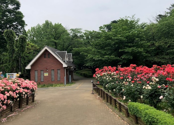 【さいたま市中央区上峰のアパートの公園】