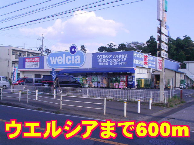 その他　ウエルシア（その他）まで600m