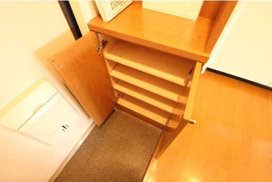 玄関　※他部屋の写真です。