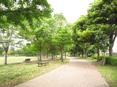 公園　美薗中央公園（公園）まで2405m