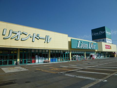スーパー　リオン・ドール加茂店（スーパー）まで1221m