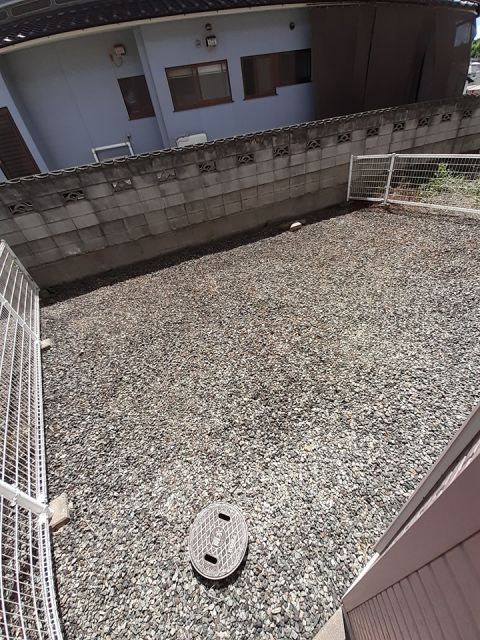 庭