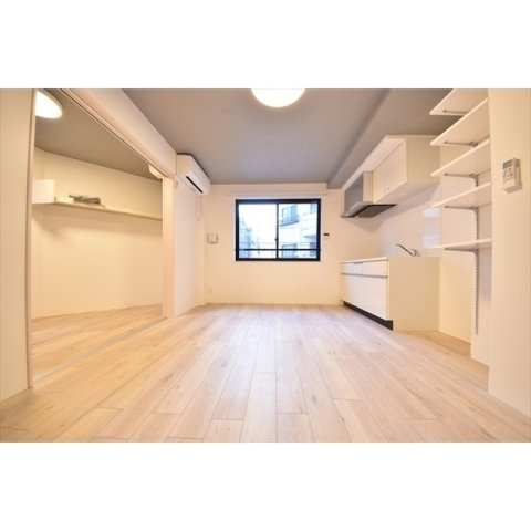 収納　内装もきれいです