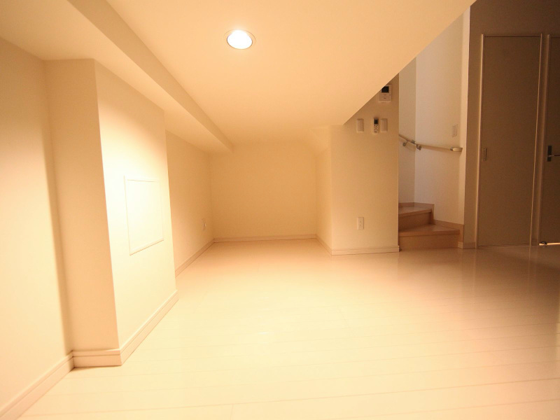 その他部屋・スペース　アンダーロフト4.6帖（収納としてもお部屋としても使えます）