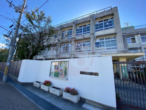 中学校　東大阪市立金岡中学校（中学校）まで565m