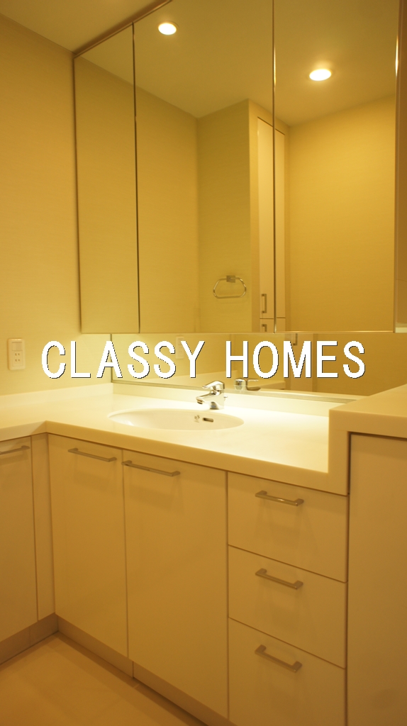 洗面設備　2005年竣工 ワールドシティタワーズアクアタワー：洗面台