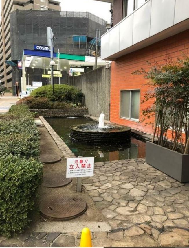 庭