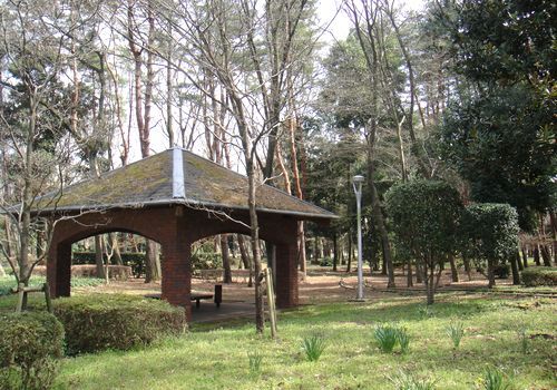 公園　赤塚公園（公園）まで765m