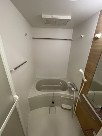 バス・シャワールーム　反転タイプのお部屋写真です。