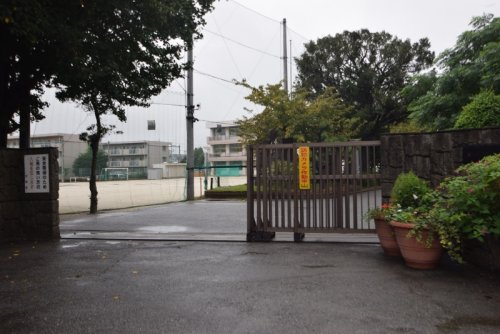 小学校　船橋市立法典小学校（小学校）まで733m