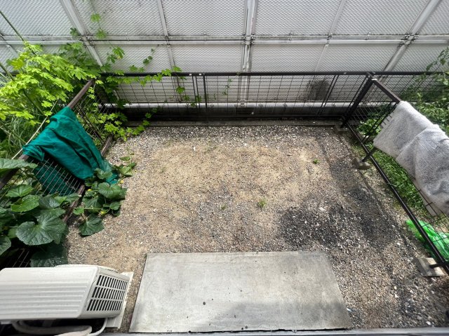 庭　※同物件別号室の写真になります