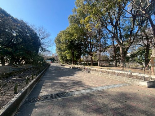 公園　大井戸公園（公園）まで257m