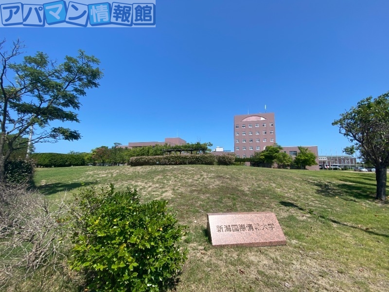 大学・短大　私立新潟国際情報大学（大学・短大）まで371m