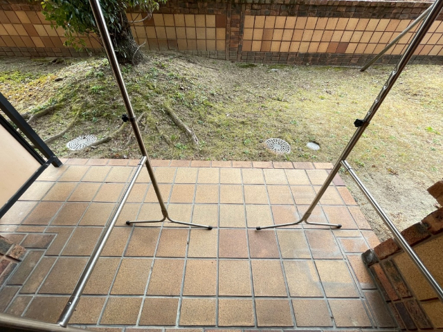 庭
