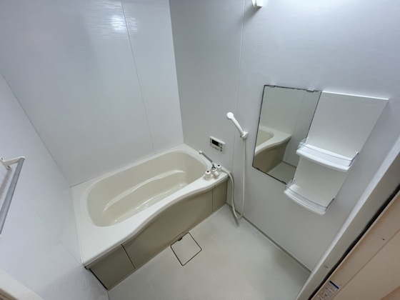 バス・シャワールーム　※別部屋の写真です