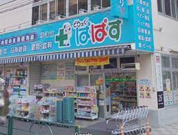 ドラックストア　どらっぐぱぱす根津店（ドラッグストア）まで536m