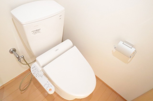 トイレ　写真同タイプ別部屋（反転）