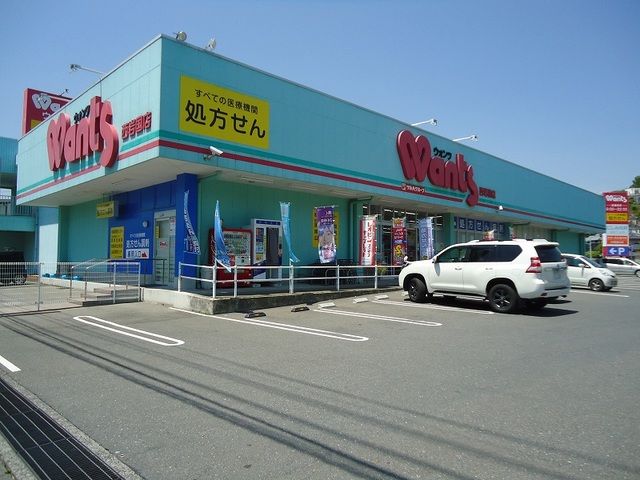 ドラックストア　ウォンツ西岩国店（ドラッグストア）まで300m