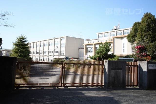 中学校　東星中学校（中学校）まで1100m