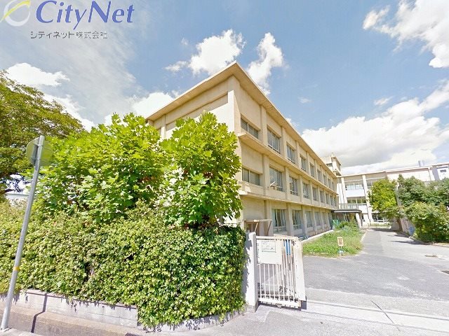小学校　伊丹市立稲野小学校（小学校）まで577m