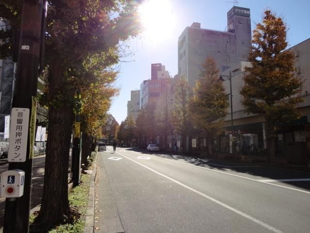 その他　商店街（その他）まで1000m