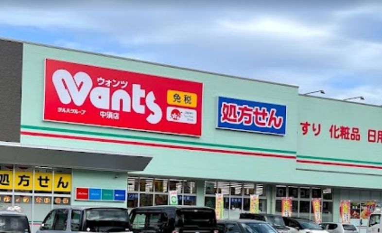 ドラックストア　ウォンツ 中須店（ドラッグストア）まで658m