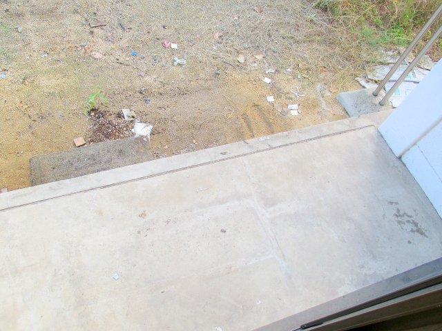 庭　過去写真※現状優先