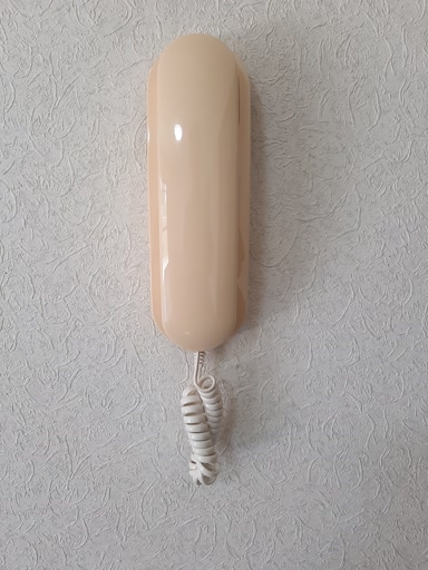 サニーサイドのその他写真
