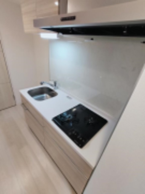 キッチン　同建物施工写真参考