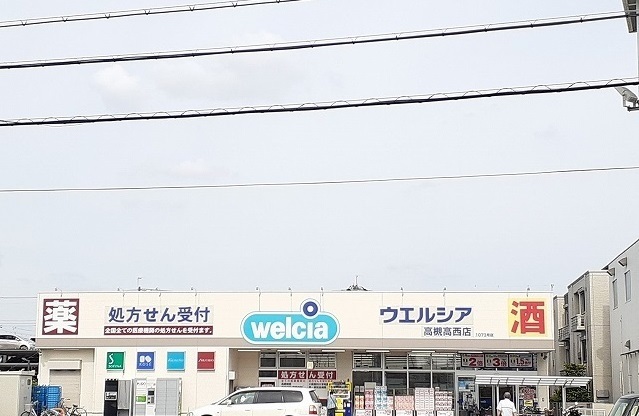 その他　ウエルシア様まで300m