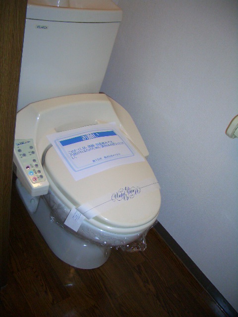 東武伊勢崎線 剛志駅 徒歩15分 2階建 築25年のトイレ写真