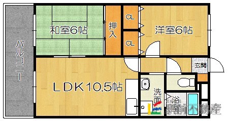 糟屋郡新宮町三代西のマンションの間取り