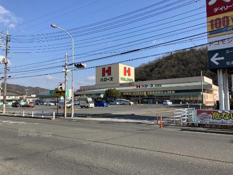 その他　ハローズ沼南店（その他）まで728m