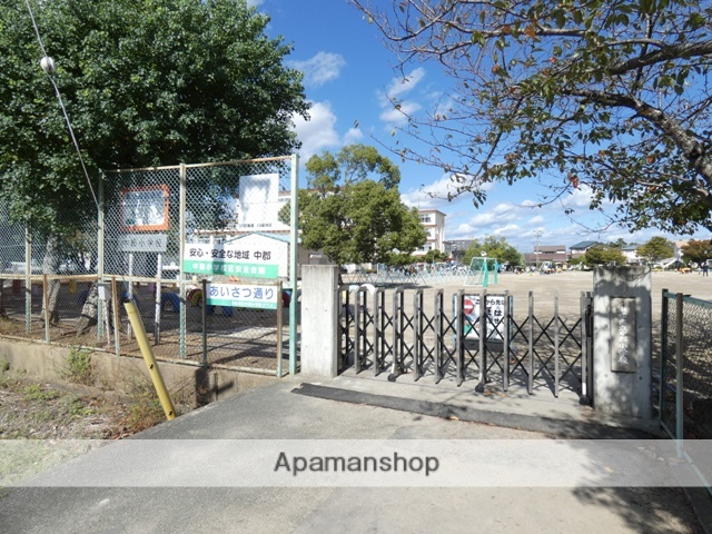 小学校　中郡小学校（小学校）まで505m