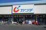 ドラックストア　カワチ薬品 久喜店（ドラッグストア）まで734m