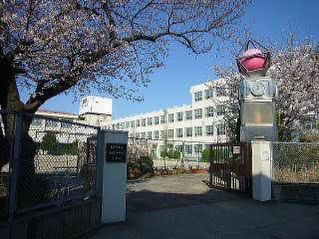 小学校　大磯小学校（小学校）まで542m
