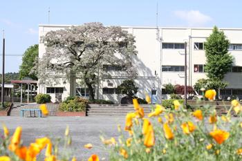 小学校　横浜市立都岡小学校（小学校）まで429m