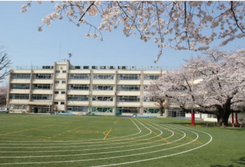 小学校　志村第二小学校（小学校）まで504m