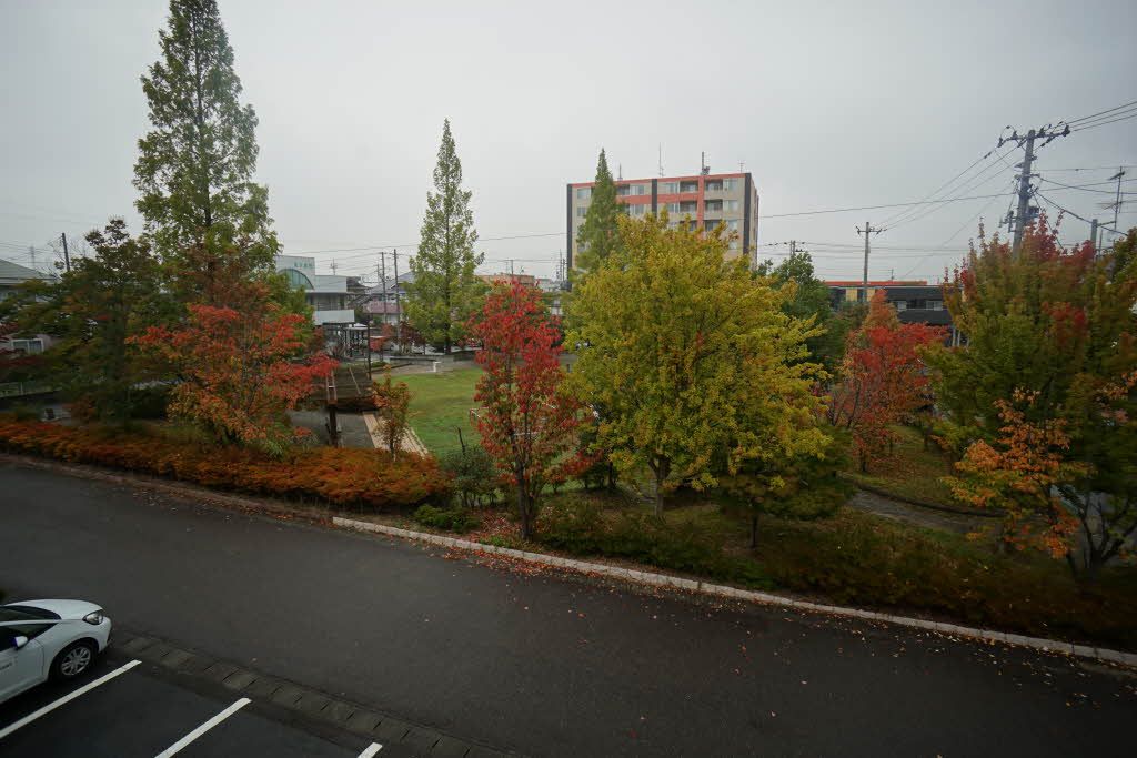 建物外観　道路向かいの公園