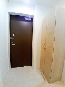 玄関　（別タイプ参考写真）アイビス　文京区小石川1