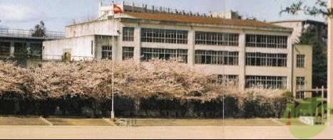 中学校　垂水中学校（中学校）まで650m